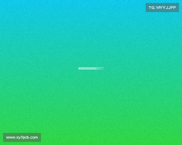 上海汽车赛事团队上海赛车2021